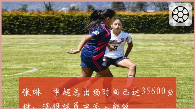 张琳芃中超总出场时间已达35600分钟，现役球员中无人能敌