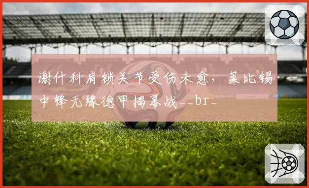 谢什科肩锁关节受伤未愈，莱比锡中锋无缘德甲揭幕战__br_