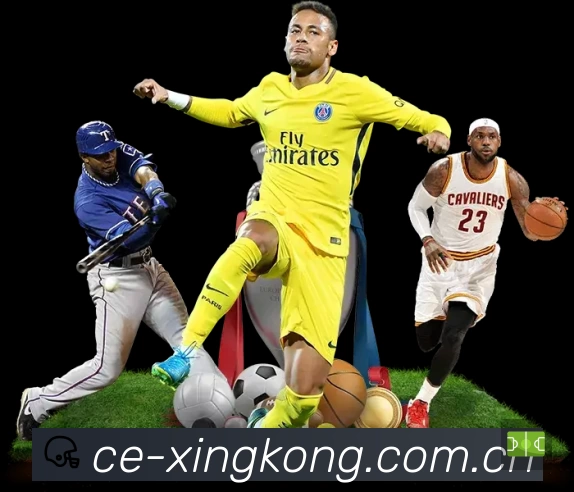 体育平台欢迎图